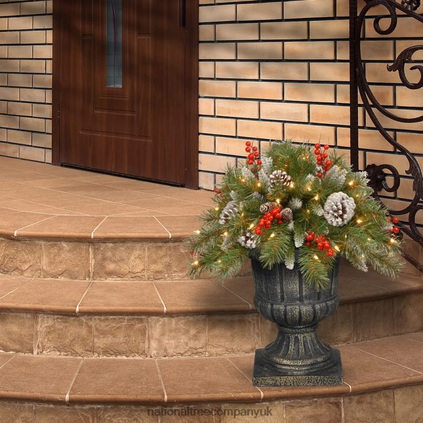 Greenery | National Tree Company 18in Frosted Berry Urn Filler with Battery Operated Warm White LED Lights F2L4F434